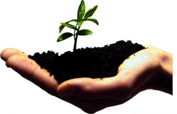 A insustentável natureza da sustentabilidade