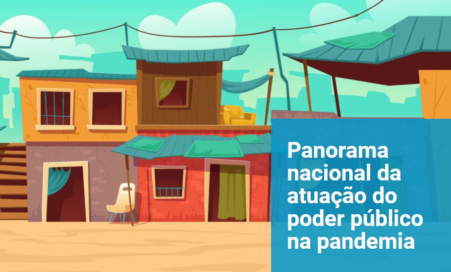 Panorama nacional da atuação do poder público na pandemia
